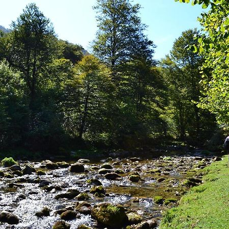 Gites Communaux A Lourdios Exterior photo