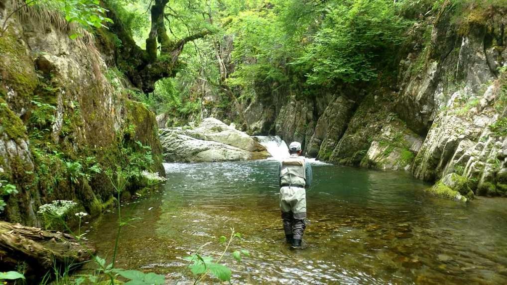 Gites Communaux A Lourdios Exterior photo
