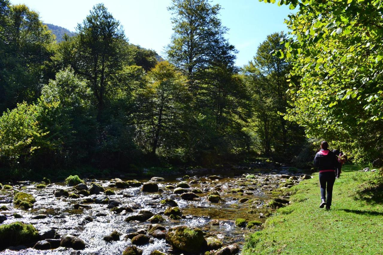 Gites Communaux A Lourdios Exterior photo